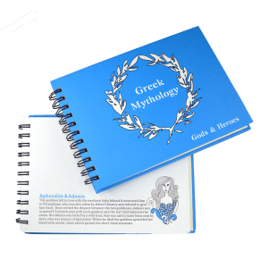 2e30d0_bcda41d7135147bdb9a3831820e4a253_mv2