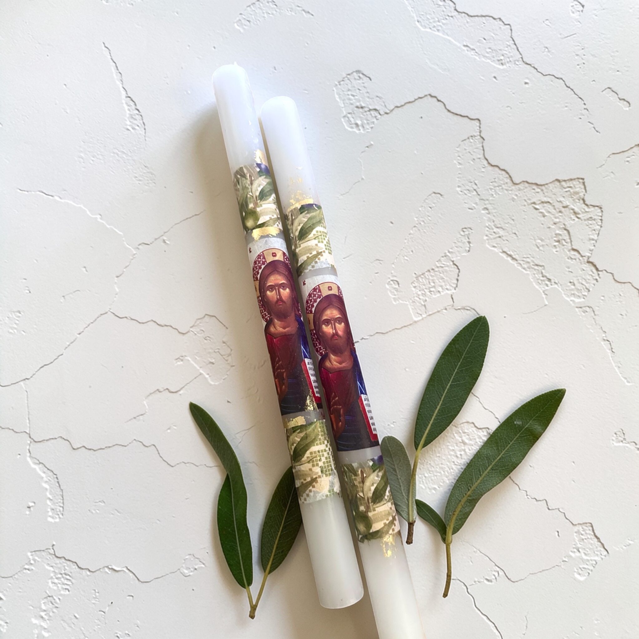 Photoroom_20260226_034527